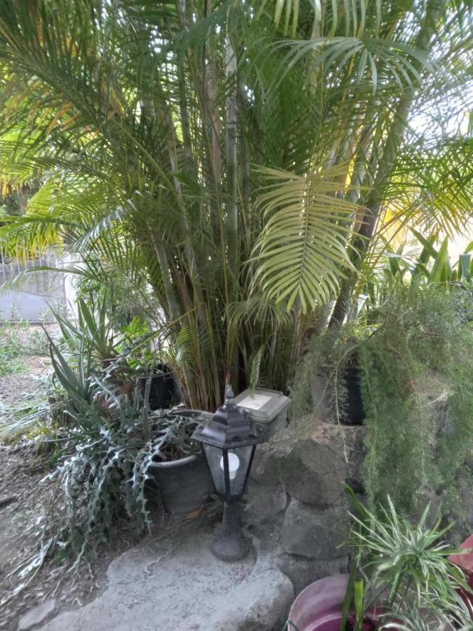 Le Jardin Βίλα Saint-Leu Εξωτερικό φωτογραφία